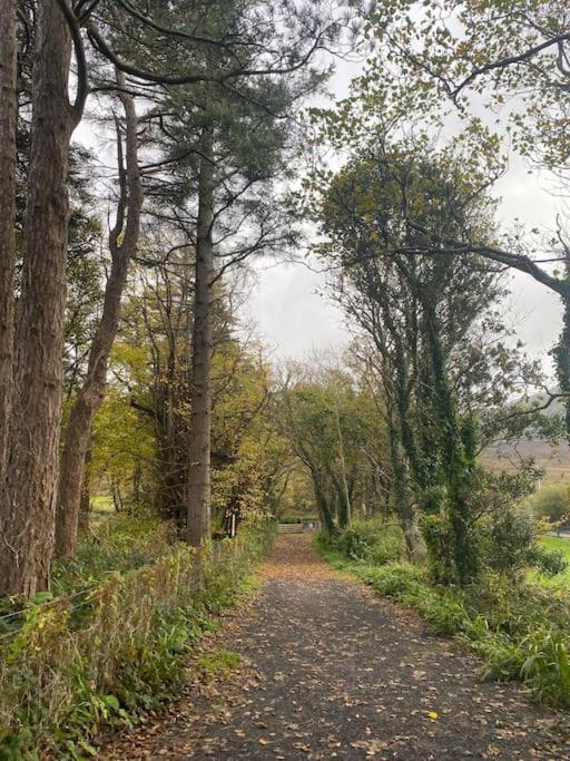 Country Cabin Mullagh  Bagian luar foto