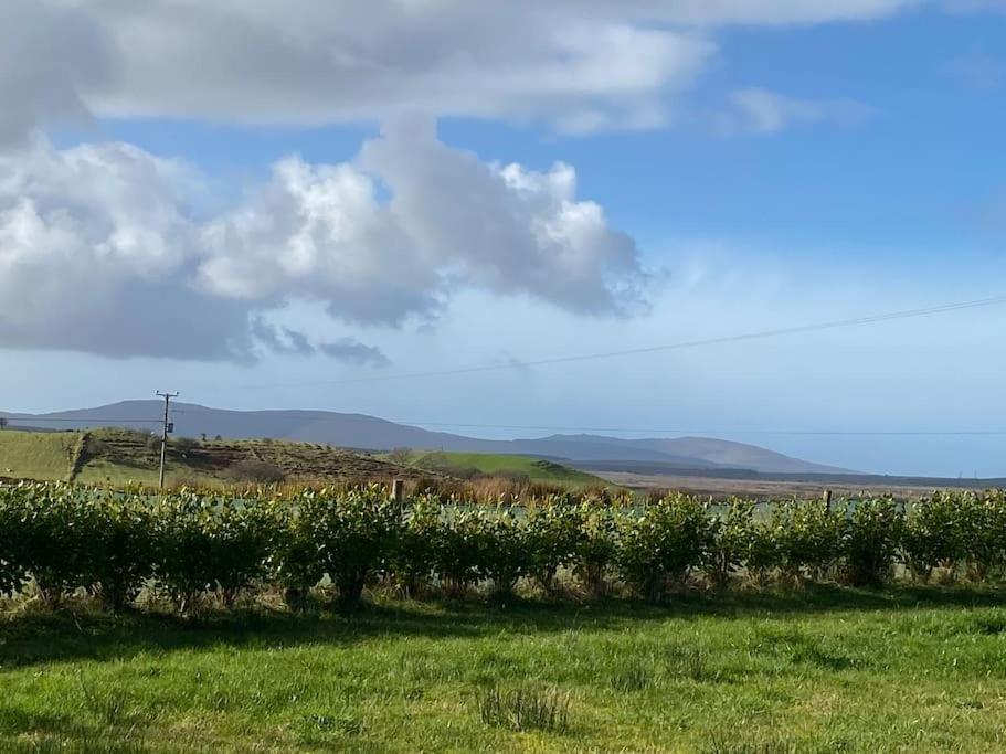 Country Cabin Mullagh  Bagian luar foto